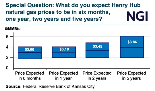 Natural Gas, Oil Executives Forecasting $3 Henry Hub Price by Early 2025