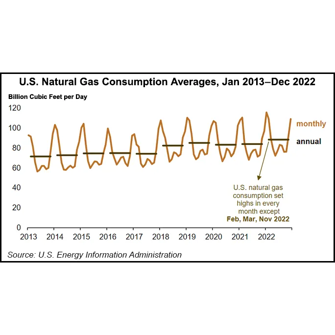 Natural Gas Consumption in 2022 Hits Record High, but Will It Continue?